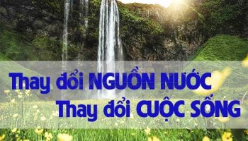 Máy Tạo Nước Ion Kiềm Được Nhiều Người Tin Dùng Kim Long Phát