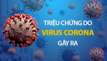 Nguyên nhân và các triệu chứng do virus corona gây ra