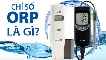 Chỉ Số ORP Là Gì? Có Ảnh Hưởng Như Thế Nào Đối Với Sức Khỏe?